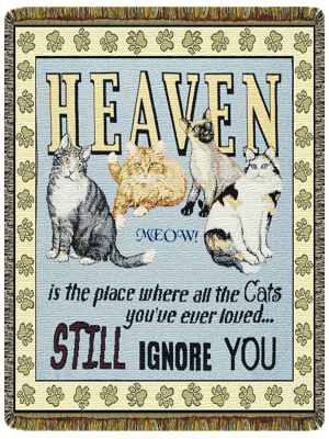 HEAVEN IS THE PLACE WHERE ALL THE CATS YOU'VE EVER LOVED...STILL IGNORE YOU